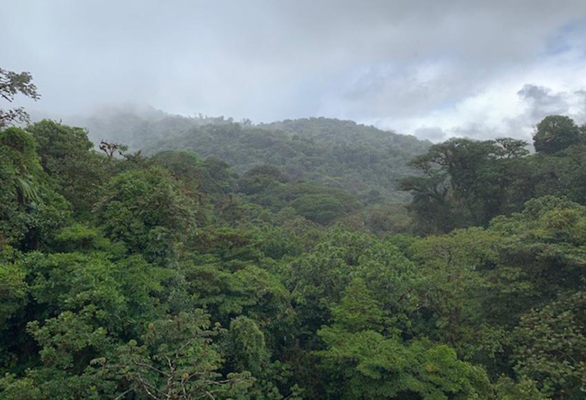 Walk in the clouds at Monteverde — Photo by Angela Cragin