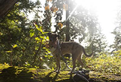 Trailblazing at Seward Park