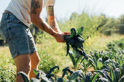 Footprint Wine Tap and Pink Moon Farm are "Queer to Stay"